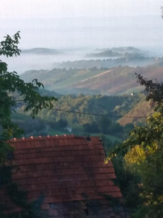 Holiday Home Nature Plesivica Jasztrebarszka Kültér fotó