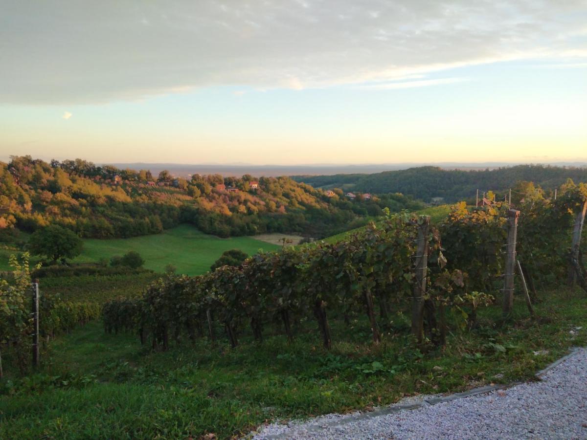 Holiday Home Nature Plesivica Jasztrebarszka Kültér fotó